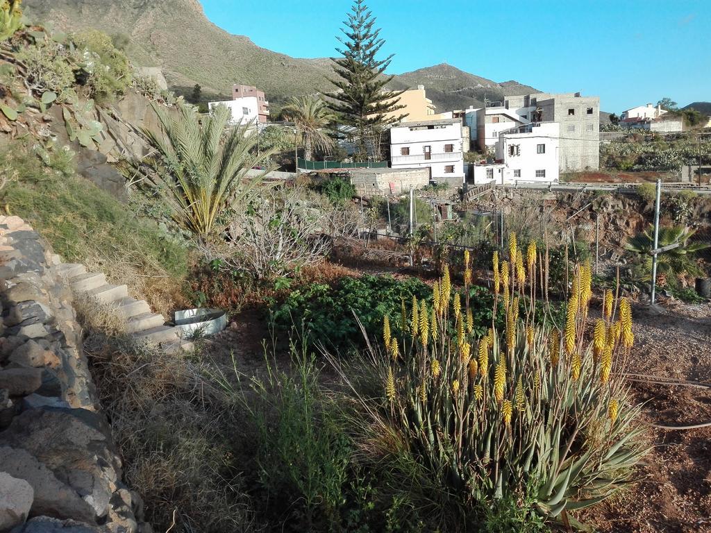 ארונה Finca Patio Canario מראה חיצוני תמונה