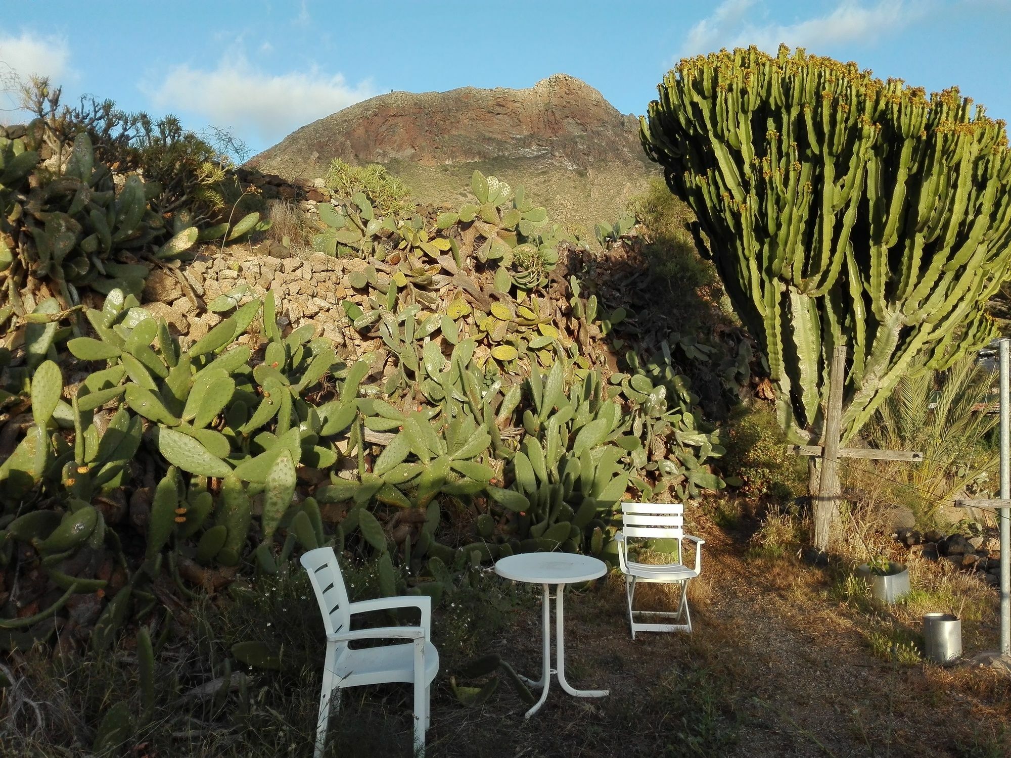 ארונה Finca Patio Canario מראה חיצוני תמונה
